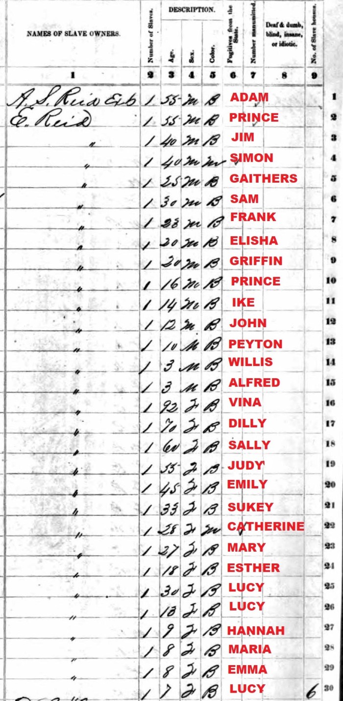 1860 - SLAVE SCHEDULE - ELIZABETH REID -SNAP
